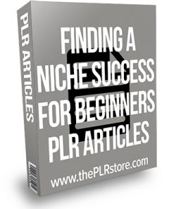 Finding a Niche Success for Beginners PLR Articles