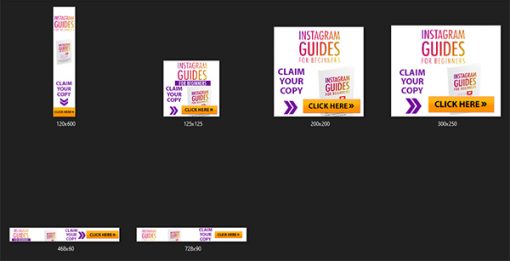 Instagram Guides for Beginners Ebook and Videos MRR