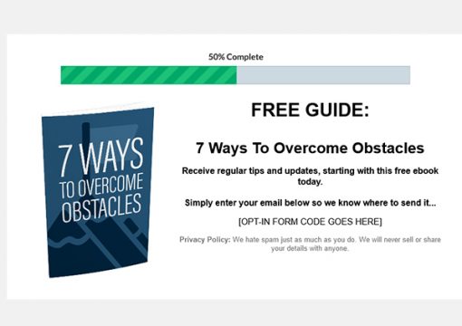 Overcome Obstacles Ebook and Videos MRR