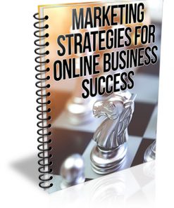 Marketing Strategies for Online Business Success PLR Report