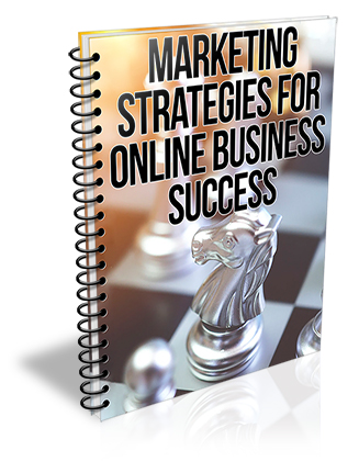 Marketing Strategies for Online Business Success PLR Report