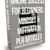 Online Success for Beginners: Mindset and Motivation PLR Articles