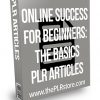 Online Success for Beginners: The Basics PLR Articles