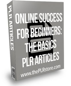 Online Success for Beginners: The Basics PLR Articles