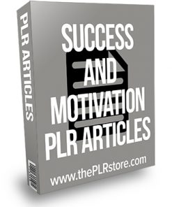 Success and Motivation PLR Articles