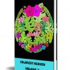 Adult Coloring Heaven Volume 3 MRR