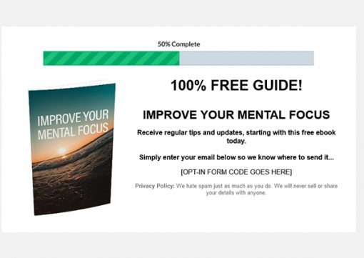 How to Focus Ebook and Videos MRR