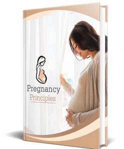 Pregnancy Principles PLR Ebook
