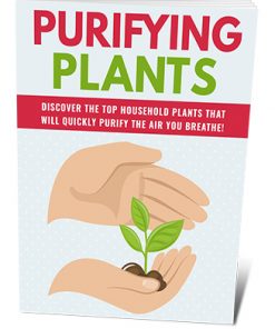 Purifying Plants PLR Ebook