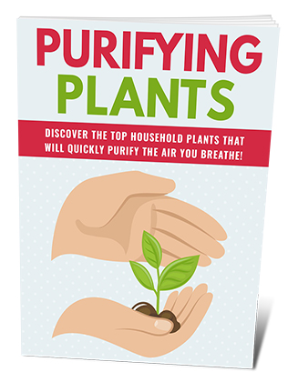 Purifying Plants PLR Ebook