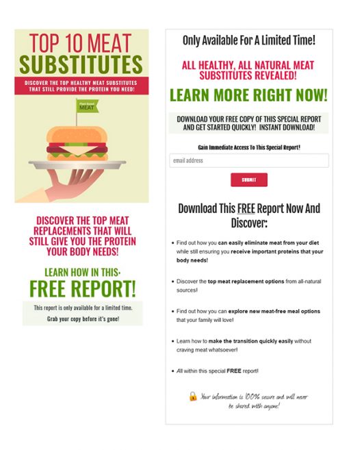 Top 10 Meat Substitutes PLR Ebook