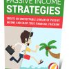 Passive Income Strategies PLR Ebook