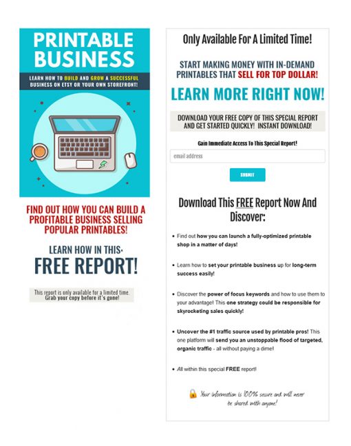 Printable Business PLR Ebook