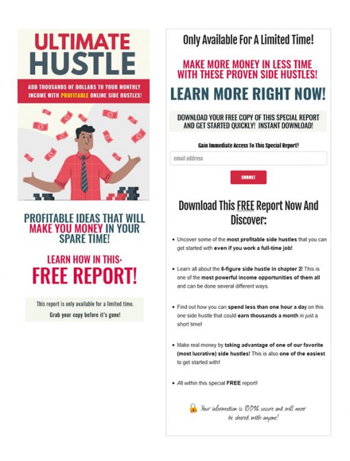 Ultimate Money Hustle PLR Ebook