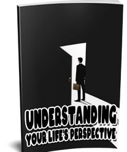 Understanding Your Lifes Perspective Ebook MRR