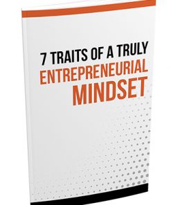 7 Traits of a Truly Entrepreneurial Mindset Report MRR