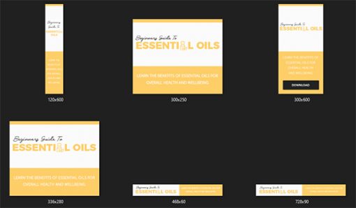 Beginner's Guide to Essential Oils Ebook MRR