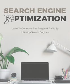 Search Engine Optimization Ebook MRR