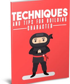 Techniques and Tips for Building Character Ebook MRR