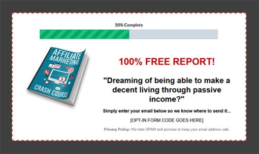 Affiliate Marketing Crash Course Report MRR