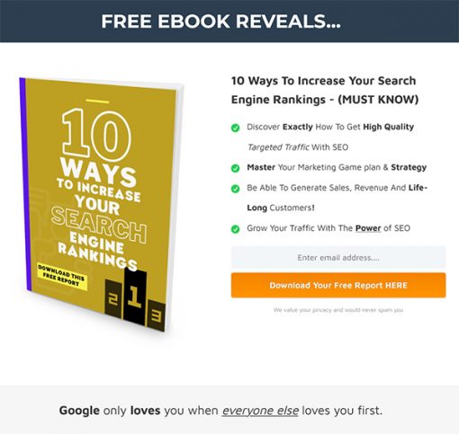 SEO Marketing School Ebook and Videos MRR