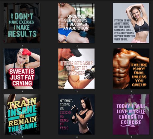 Workoutpedia Ebook and Videos MRR