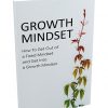 How to Develop Your Mindset Report MRR