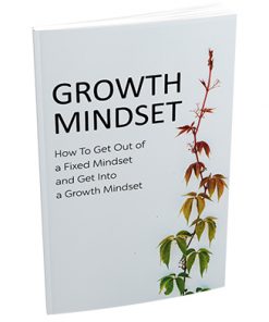 How to Develop Your Mindset Report MRR