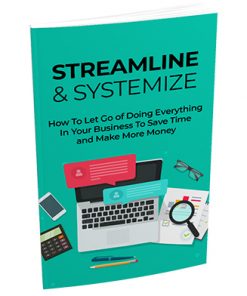 Streamline and Systemize Report MRR