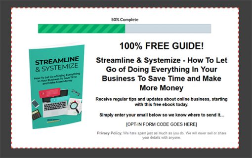 Streamline and Systemize Report MRR