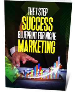 The 7 Step Success Blueprint for Niche Marketing Ebook MRR