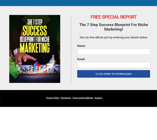 The 7 Step Success Blueprint for Niche Marketing Ebook MRR