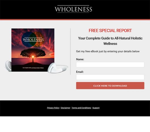 Wholeness Report and Audio MRR