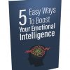5 Easy Ways to Boost Your Emotional Intelligence Report MRR