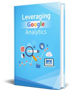 Leveraging Google Analytics PLR Ebook