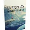 Everyday Mindfulness Report MRR