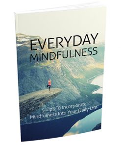 Everyday Mindfulness Report MRR