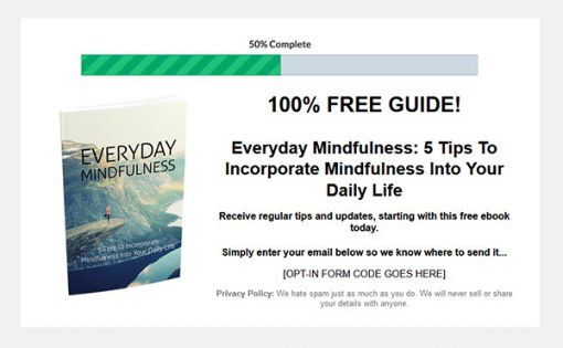 Everyday Mindfulness Report MRR