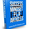 Success Mindset PLR Articles