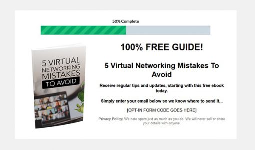 Virtual Networking Success Ebook and Videos MRR