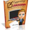 Copywriting Crackdown Ebook MRR