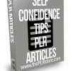 Self Confidence Tips PLR Articles