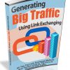 Generating Big Traffic Using Link Exchanging Ebook MRR