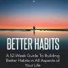 Better Habits Ebook and Videos MRR