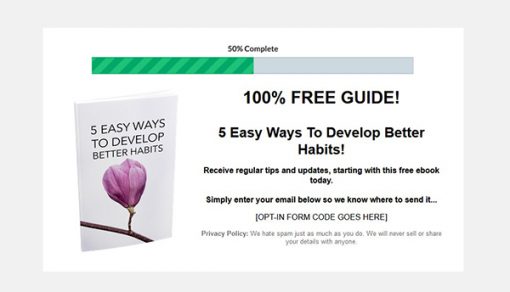 Better Habits Ebook and Videos MRR