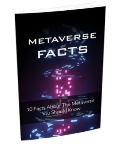 Metaverse Facts Report MRR