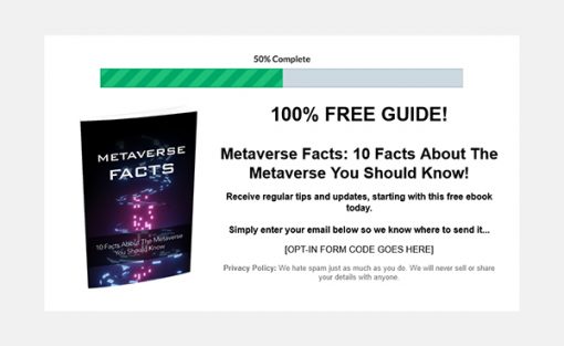 Metaverse Facts Report MRR
