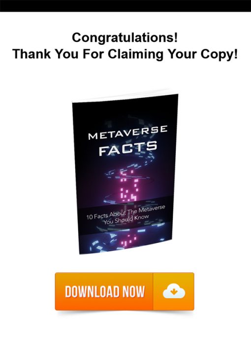 Metaverse Facts Report MRR