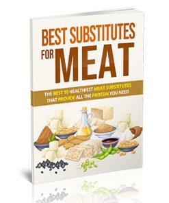 Best Substitutes for Meat PLR Ebook