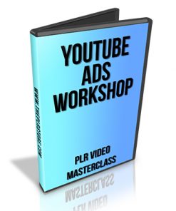 Youtube Ads Workshop PLR Video